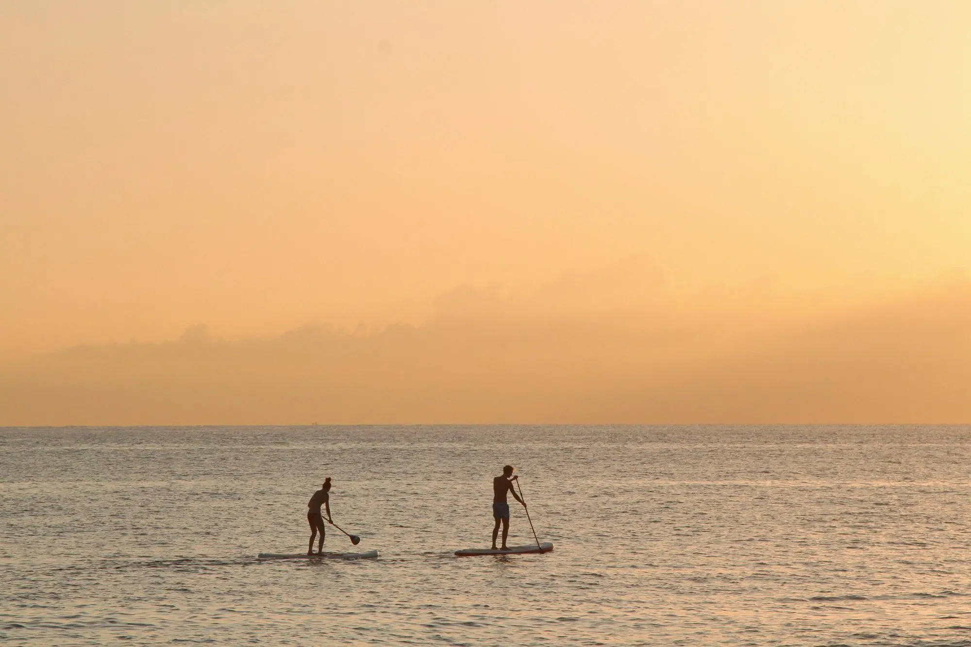 Two people paddleboarding together at sunset