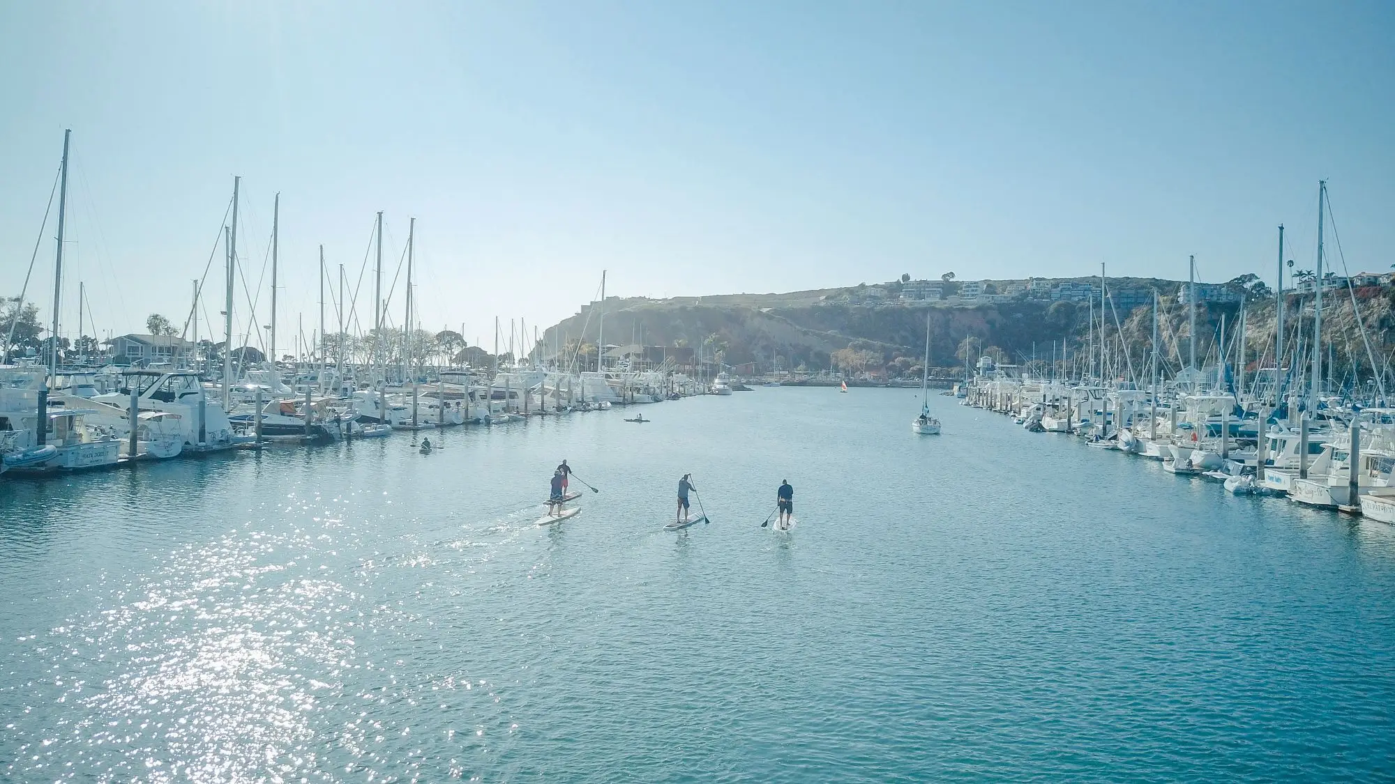 Three friends paddleboarding together along a marina