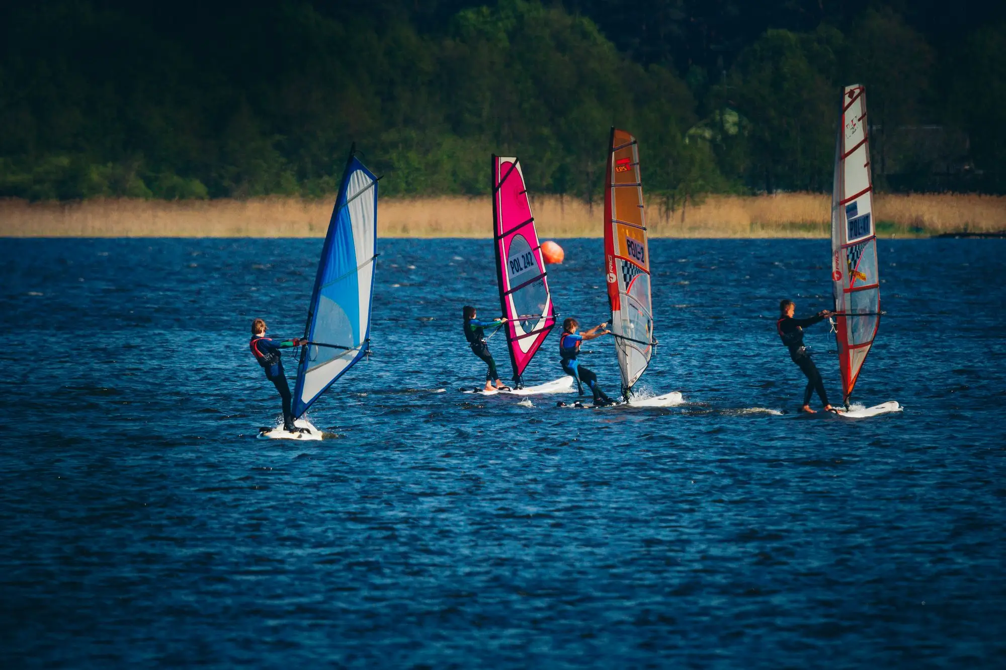 Four windsurfers with colourful sails crossing a lake